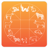 ดูดวง พรหมชาติ Pocket