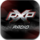 Racing Experience Pilots Radio icône