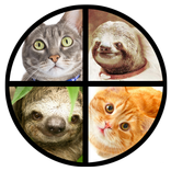 Cat or Sloth Coin Toss