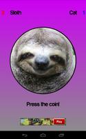 Cat or Sloth Coin Toss imagem de tela 1