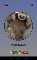 Cat or Sloth Coin Toss imagem de tela 2