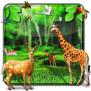 Forest HD Live Wallpaper APK