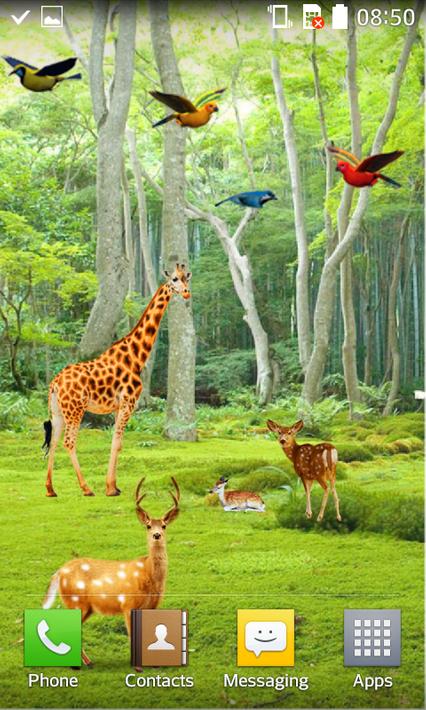 Forest HD Live Wallpaper pour Android - Téléchargez l'APK