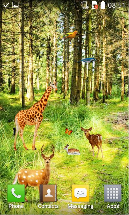 Forest HD Live Wallpaper pour Android - Téléchargez l'APK