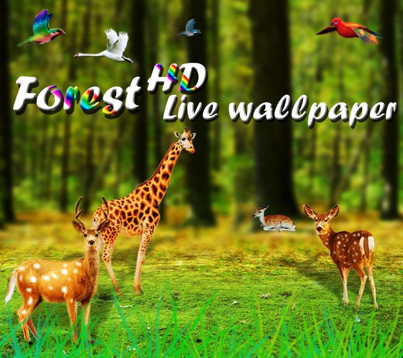 Forest HD Live Wallpaper pour Android - Téléchargez l'APK