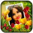 Flower Photo Frames Live wallpaper