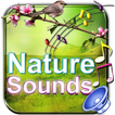 Nature Sounds To Relax Sleep