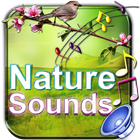 آیکون‌ Nature Sounds To Relax Sleep