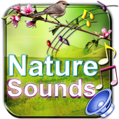 Nature Sounds To Relax Sleep icon