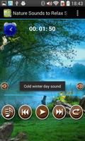 Nature Sounds To Relax Sleep syot layar 1