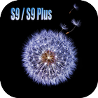 S9 Plus Wallpaper icon