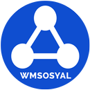 WMSosyal.net APK