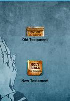 Common English Bible captura de pantalla 1