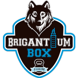 Brigantium Box