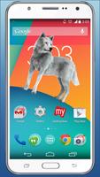 Wild Grey Wolf attack in phone scary joke 3D screenshot 3