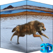 Wolf HD Video LWP