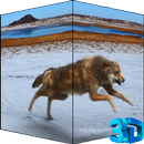 Wolf HD Video LWP APK