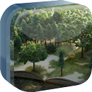 libro de la madera Live papel APK