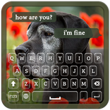 Dogs Keyboard Theme