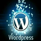 Wordpress Lite icône