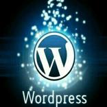Wordpress Lite