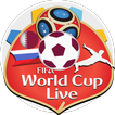 Coupe du monde 2022 ⚽  : mises à jour des scores