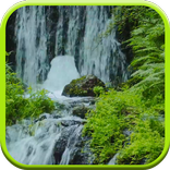 Waterfall 4K Video LWP