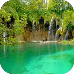 Waterfalls HD. Video Wallpaper APK download