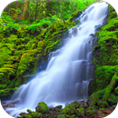 Waterfall Video Wallpaper Free APK