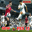 GUIDE PES 15