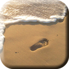 Walk on the Beach LiveWP icon