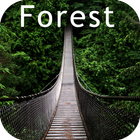 Forest Wallpaper icône