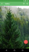 Forest Wallpaper syot layar 1