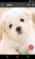 Puppy Wallpaper 截圖 2