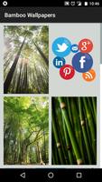 Bamboo Wallpaper HD 4K Cartaz