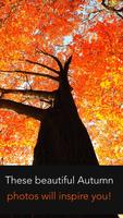 Autumn Wallpapers Affiche