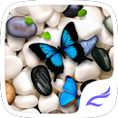 Blue Butterfly Theme APK