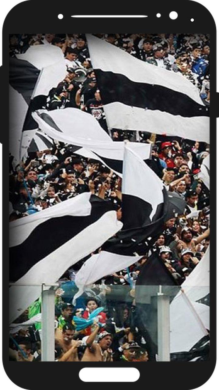 Colo-Colo Wallpapers APK per Android Download Colo-Colo Wallpapers APK per Android Download