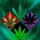 Weed Wallpapers 4K آئیکن