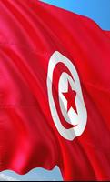 Tunisia Flag Wallpapers スクリーンショット 1