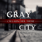 Gray City icône