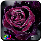 3D Rose Live Wallpaper आइकन