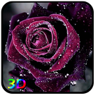 3D Rose Live Wallpaper ikon