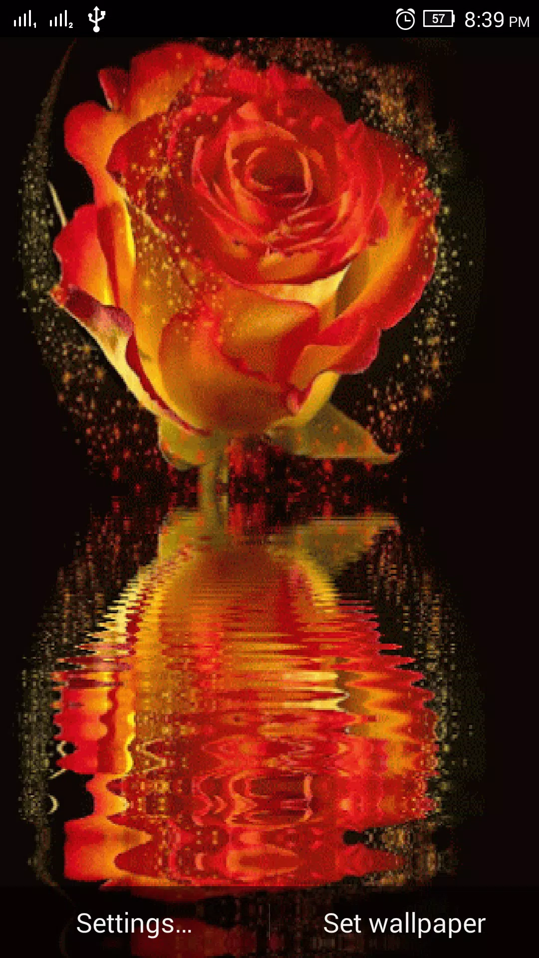 3D Rose Live Wallpaper APK for Android Download 3D Rose Live Wallpaper APK for Android Download
