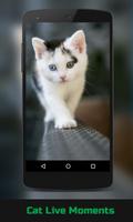 Cat Live Wallpaper captura de pantalla 1