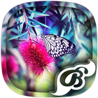 Icona Butterfly Wallpaper - 4K, HD Wallpaper