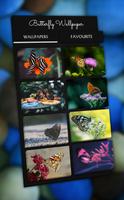 Poster Butterfly Wallpaper - 4K, HD Wallpaper