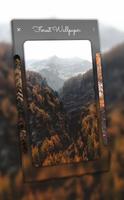 Forest Wallpaper - 4K, HD Wallpaper capture d'écran 3