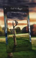 2 Schermata Owl Wallpaper - 4K, HD Wallpaper