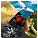 Hintergrundbilder 3d APK